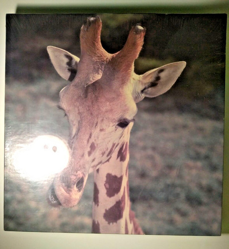 Giraffe jigsaw puzzle eaton - jigsaw,